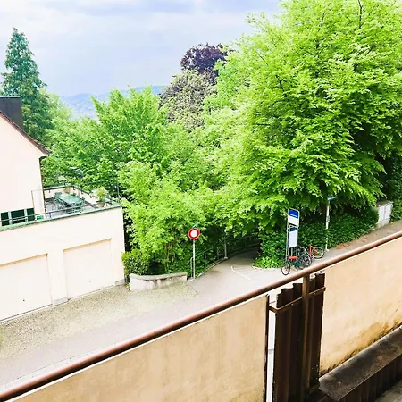 Apartament Center Flats With Balcony & Garden View Rigi - Self Checkin