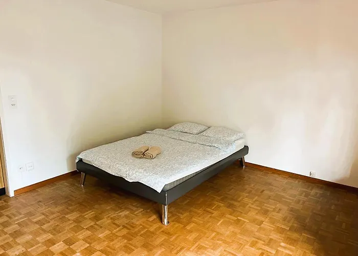 Διαμέρισμα Center Flats With Balcony & Garden View Rigi - Self Checkin Ζυρίχη