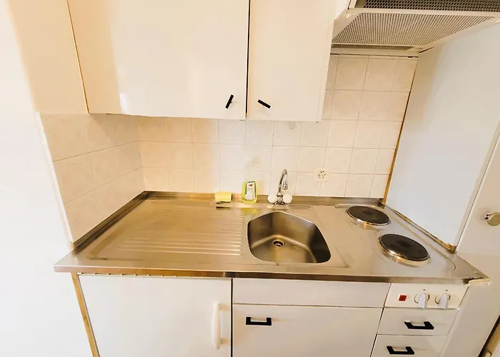 Center Flats With Balcony & Garden View Rigi - Self Checkin Ζυρίχη