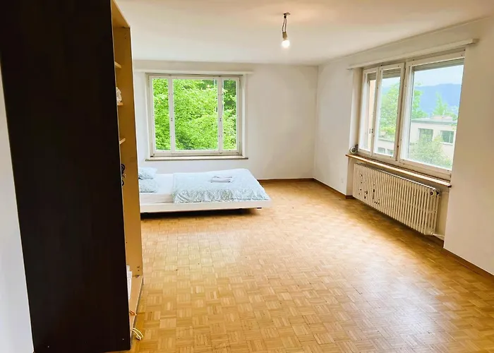 Apartment Center Flats With Balcony & Garden View Rigi - Self Checkin Zurich