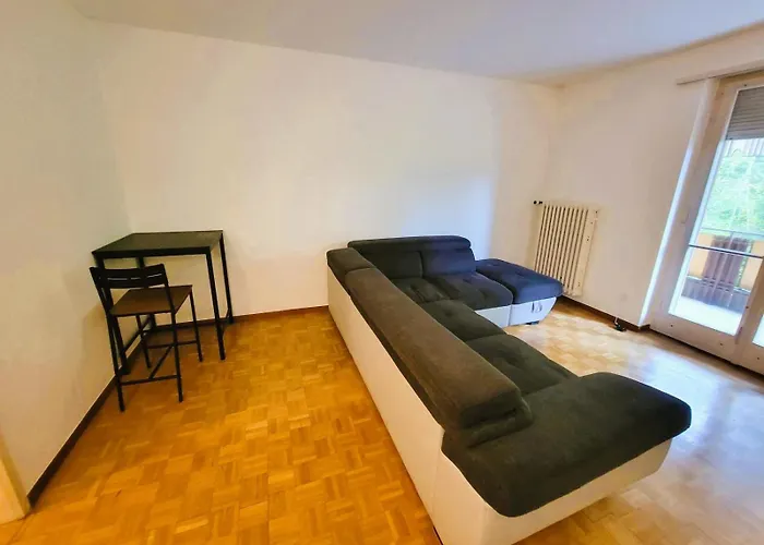 Center Flats With Balcony & Garden View Rigi - Self Checkin * Ζυρίχη