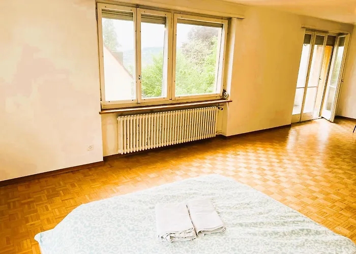 Center Flats With Balcony & Garden View Rigi - Self Checkin Διαμέρισμα Ζυρίχη