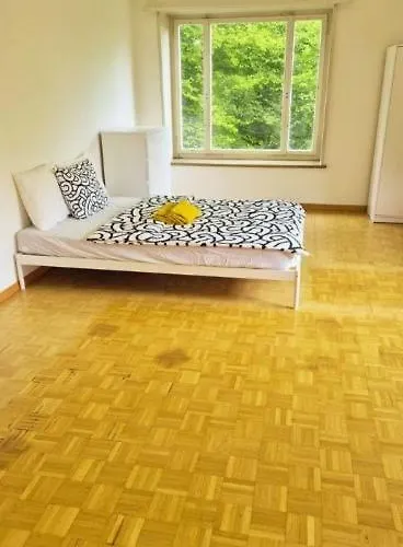 Center Flats With Balcony & Garden View Rigi - Self Checkin