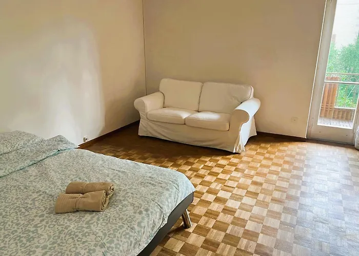 Center Flats With Balcony & Garden View Rigi - Self Checkin Daire