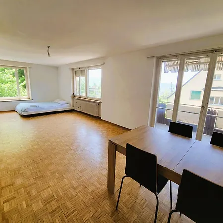 Center Flats With Balcony & Garden View Rigi - Self Checkin *