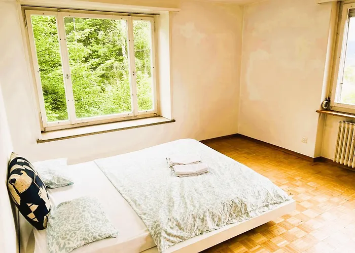 Center Flats With Balcony & Garden View Rigi - Self Checkin * Zürich